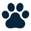 Fence Heights for Small, Medium & Large Breeds